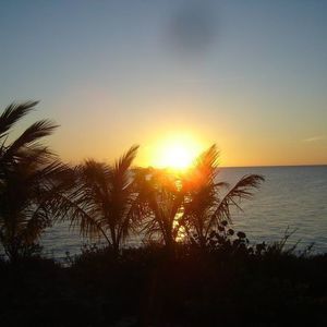 Meet your Posher, Frankie